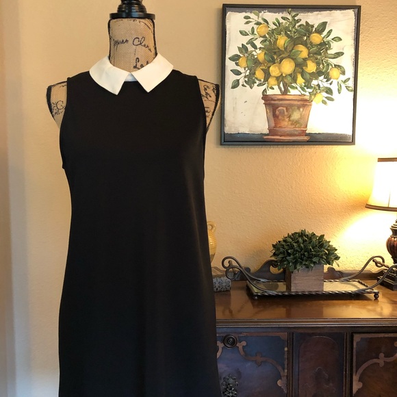 Dresses & Skirts - 🍋EUC LITTLE BLACK DRESS, SZ~ M